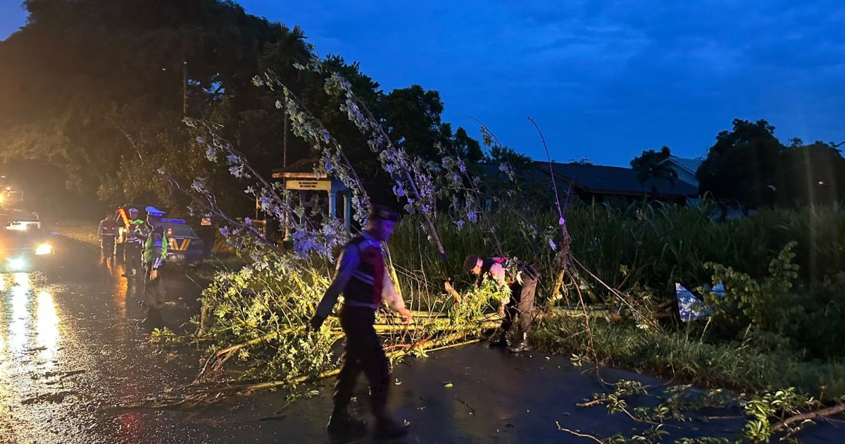 Tim Tanggap Bencana Polres Lamtim Evakuasi Pohon Tumbang di Desa Gedung Dalem