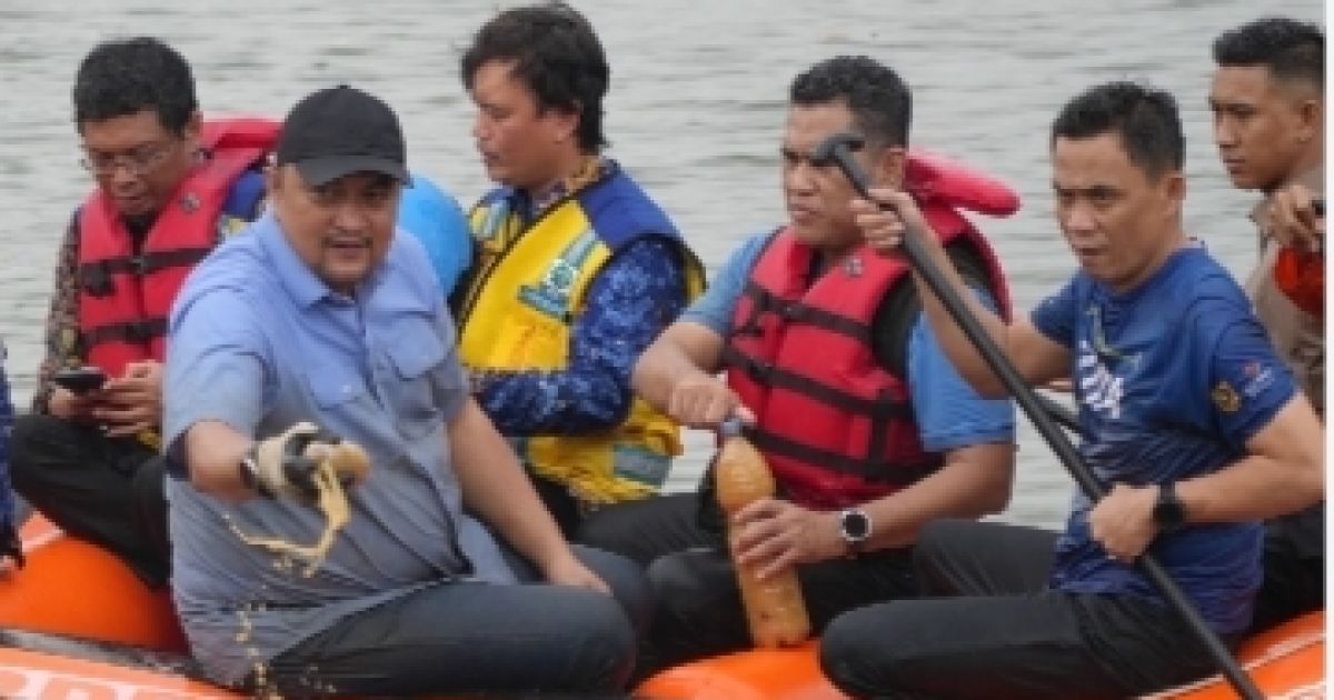 Buru dan Sergap 220 Kilo Ikan Sapu - Sapu Situ Citatah Berhasil diamankan, Ini kata Bupati Bogor