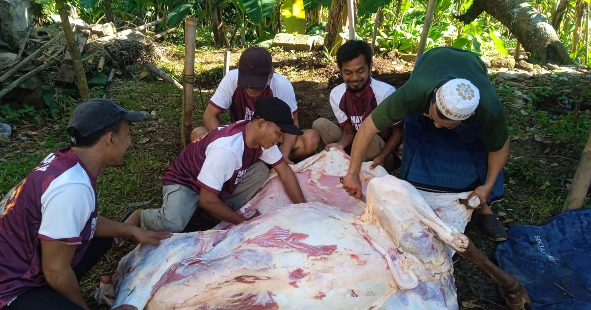DPC Gerindra Kabupaten Bogor Potong Empat Belas  Ekor Hewan Kurban, Tujuh Ekor dari Bupati Bogor