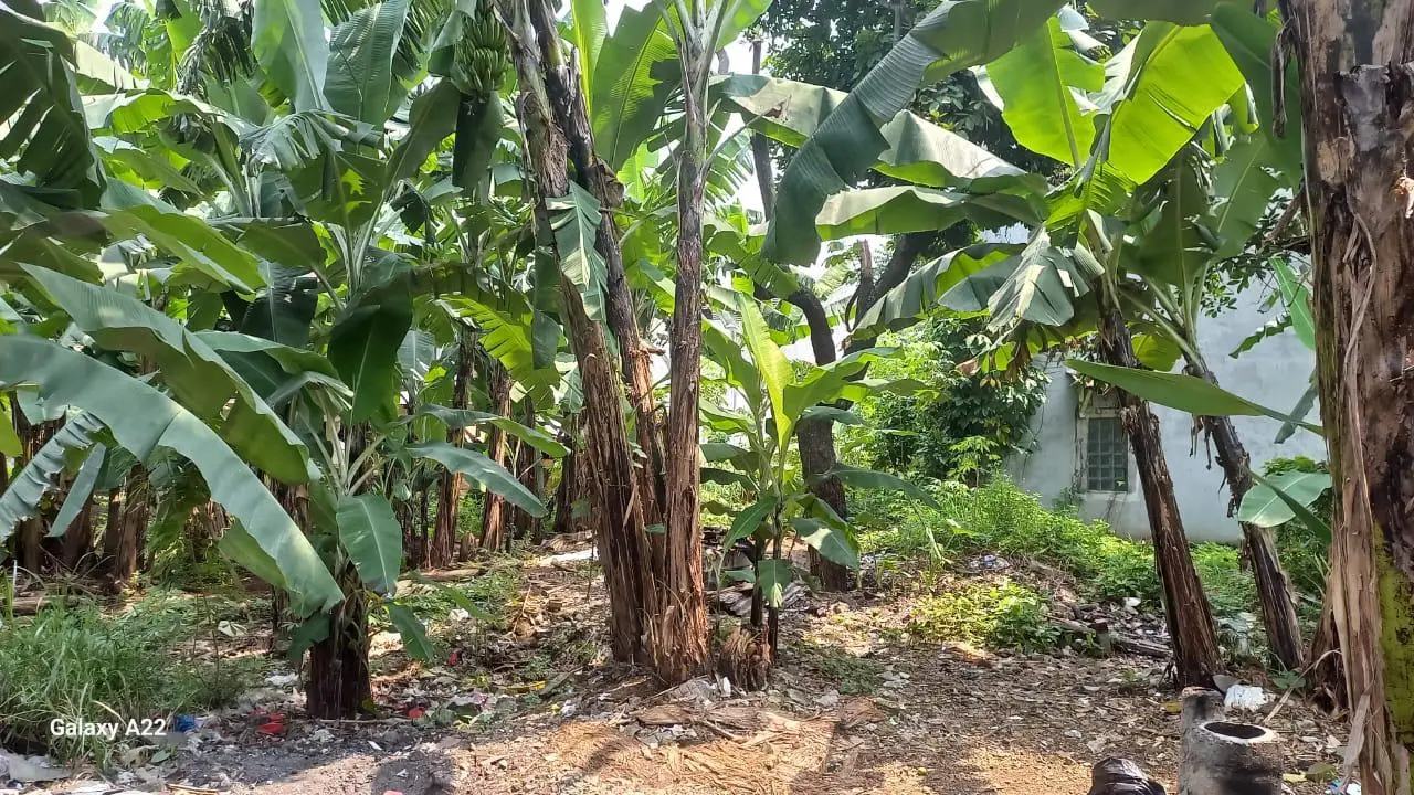 Badan Pemulihan Aset Berhasil Lelang Barang Rampasan Negara Cq PT Bank BJB Syariah