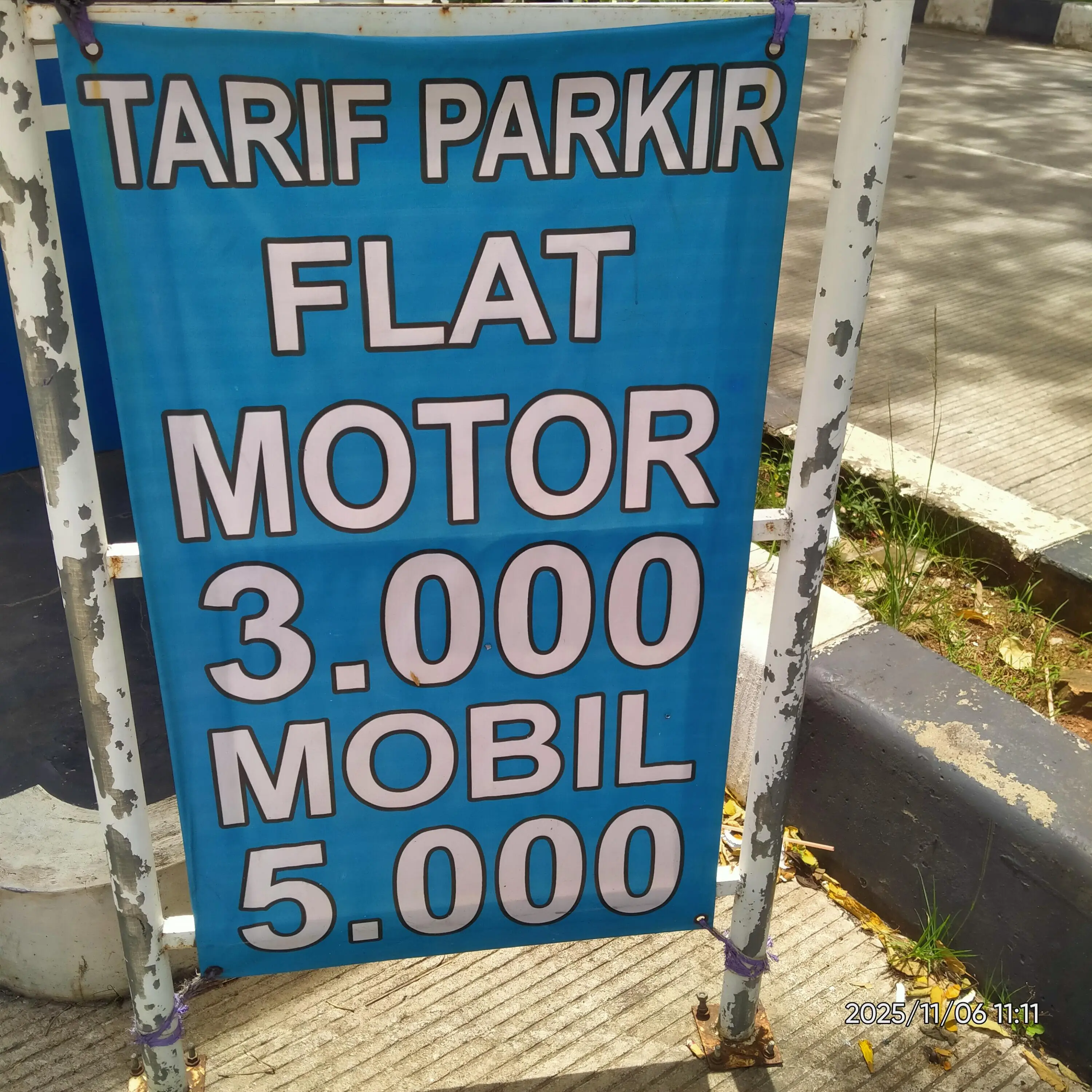 Diduga Kadis Dishub Depok Merestui Bisnis Parkir Liar di Zona Terlarang 