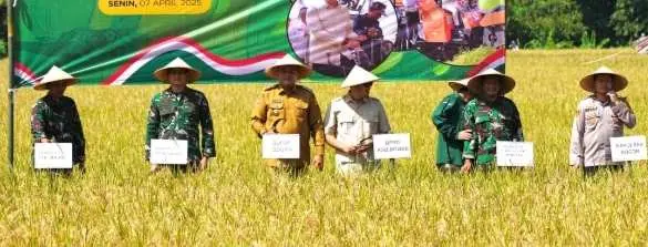 Hadiri Panen Raya Ketahanan Pangan Harus Berjalan Optimal di Kabupaten Bogor Ini Kata Bupati 