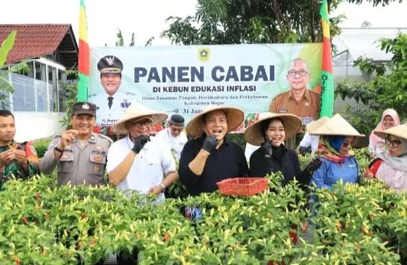 Pemkab Bogor Lakukan Panen Cabai di Halaman Kantor Dinas Tanaman Pangan