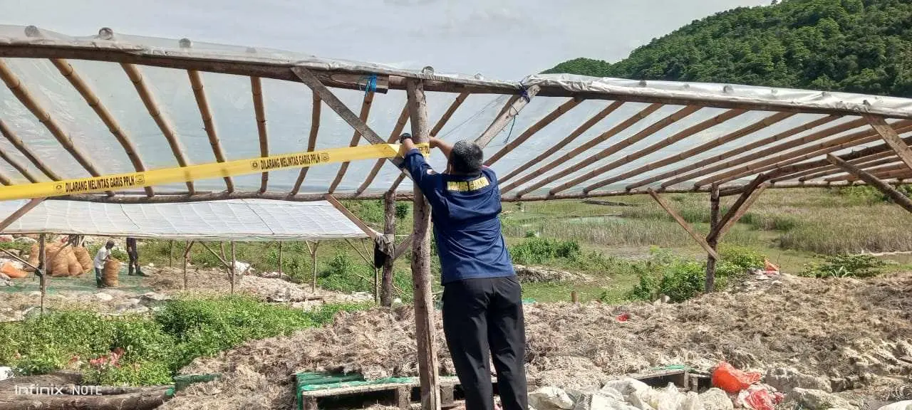 Penutupan Pengolahan Limbah Bulu Ayam Desa Nambo Jangan Retorika Belaka 