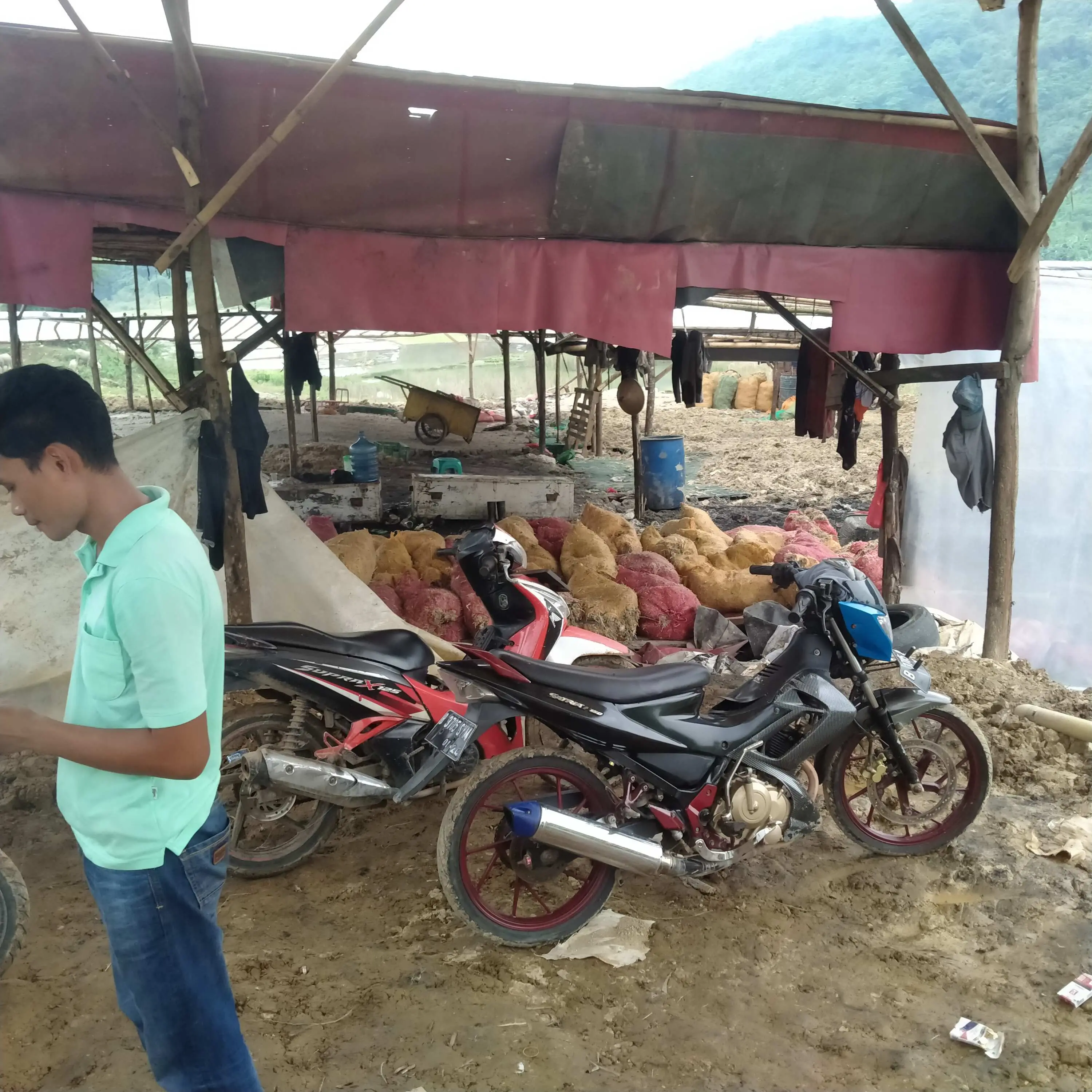 Ngerii.. Oknum Sat Pol PP Bojong Gede diduga Bekengi Pengolahan Limbah Bulu Ayam Potong Tak Berizin 