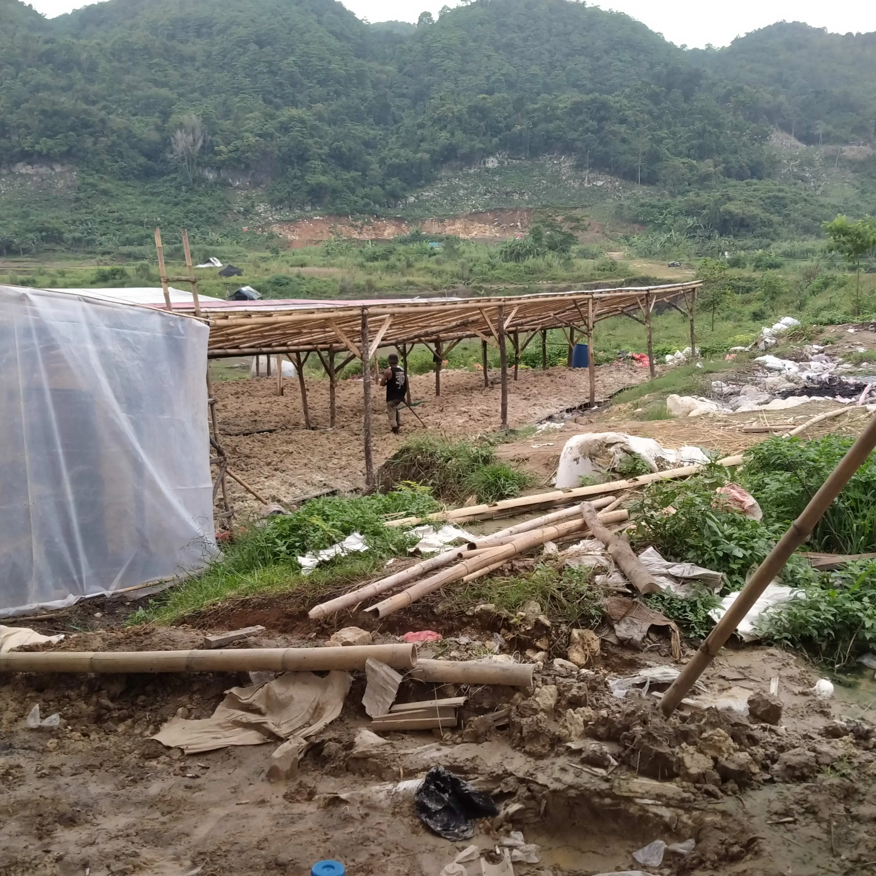 Sebarkan Bau Tak Sedap Diduga Pengolahan Limbah Bulu Ayam Tak Berizin, di Keluhkan Masyarakat 