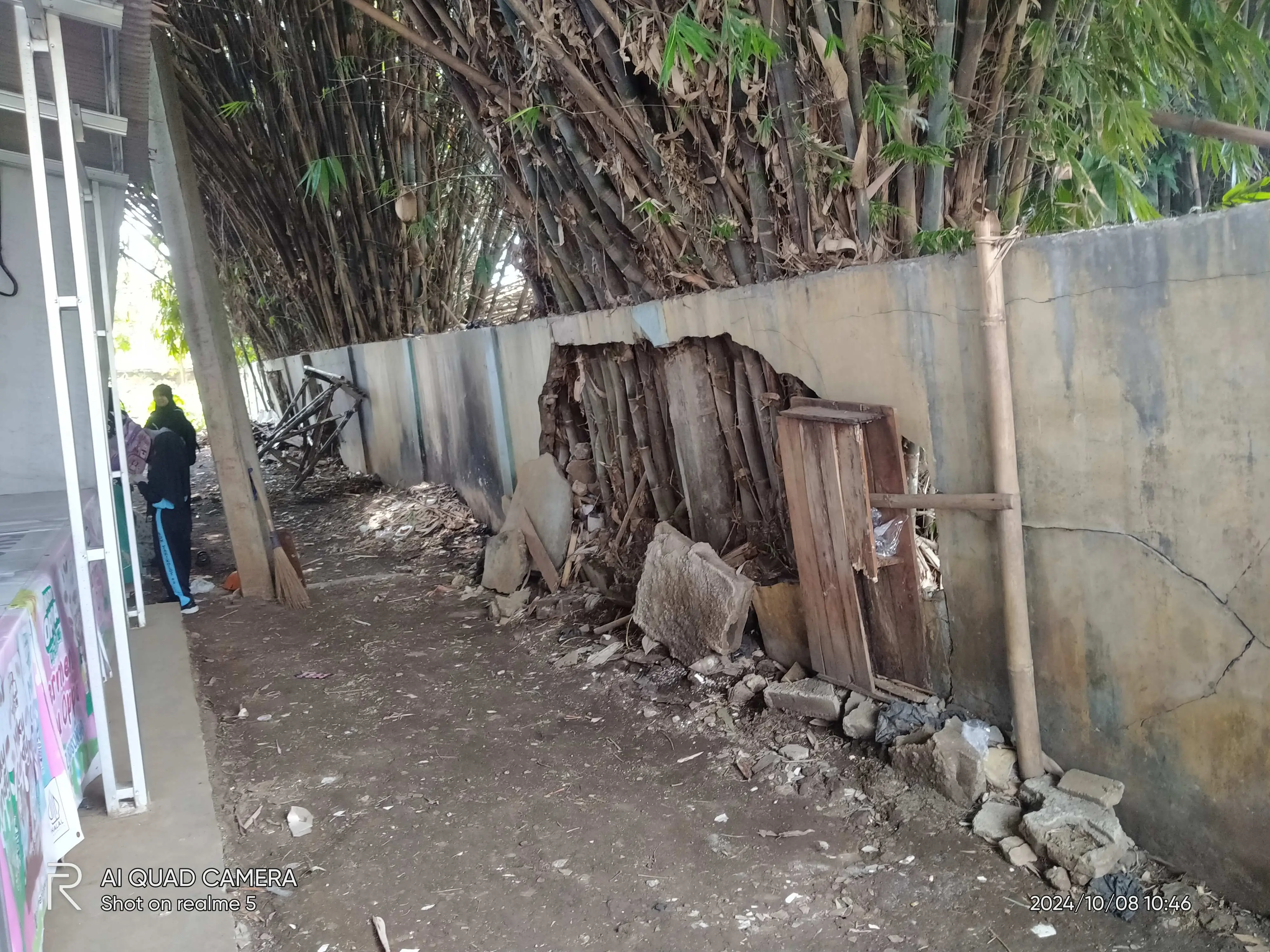 Pagar SDN Tarikolot 02 Tergerus Oleh Rumpun Bambu Warga. Adakah Solusinya Dari Dinas Terkait 